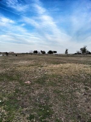 Dog park. aka wasteland.