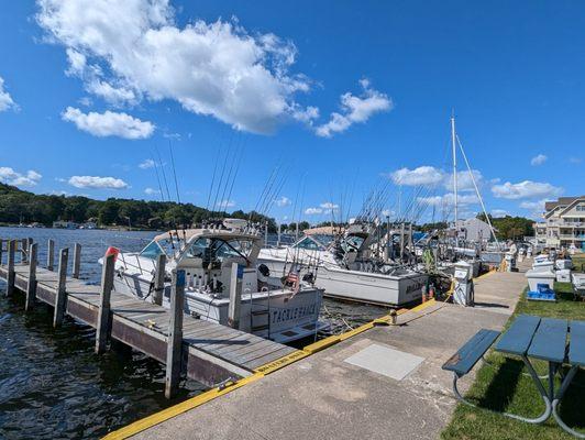 Snug Harbor Marina