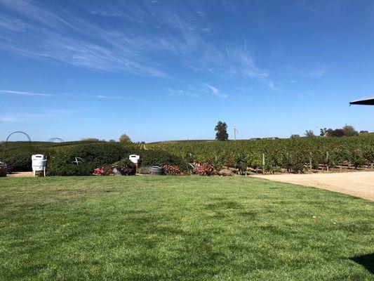 View from the wine tasting counter