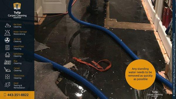 Water Damage Recovery