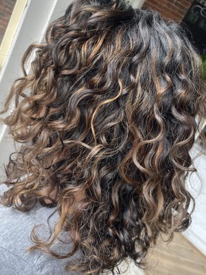 Pintura Highlights and Curly Cut