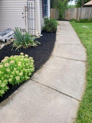 Freshly weeded and mulched garden bed