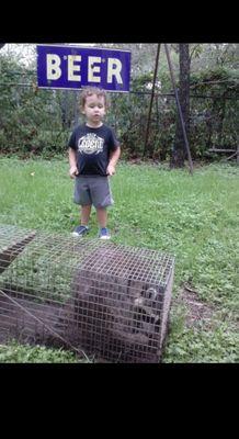 This is a raccoon caught underneath a little boys playhouse