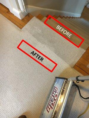 Oxi Fresh Carpet Cleaning