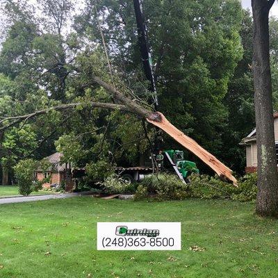 Emergency Tree Service