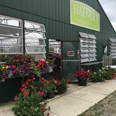 Hafner's Greenhouse