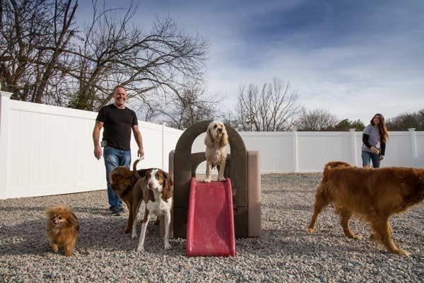 The facilities at Buddy's Doggie Day Care are meant to provide your pet with ample space in a fully-equipped climate controll...