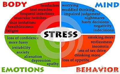 Stress upsets and destroys the behavior of the people who feel it!