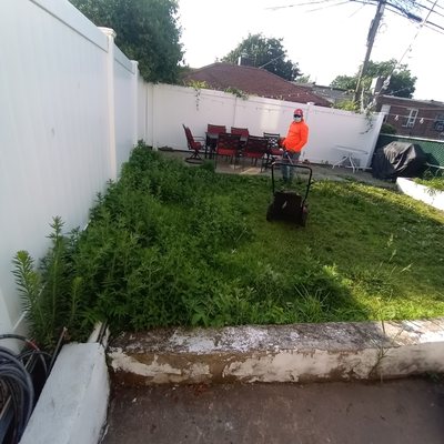 Small yard clean up