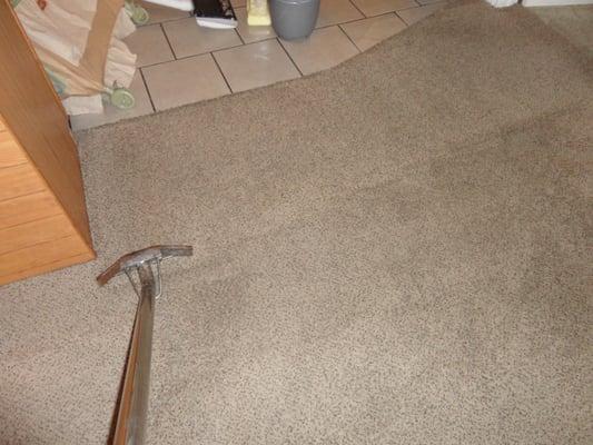 Tri-Clean Carpet Cleaning