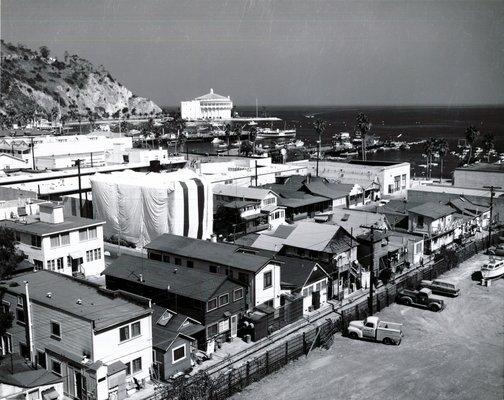 Fumigation on Catalina Island.