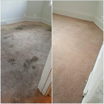 before and after pictures carpet cleaning Minneapolis