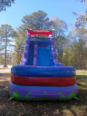 19' Purple Extreme Slide (Wet or Dry)