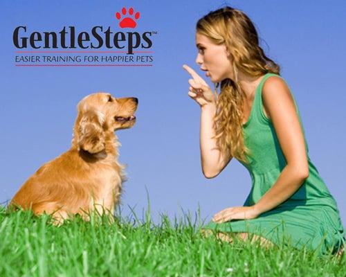 Gentle training for happier pets. The best way for all pets, especially the timid or skittish types.