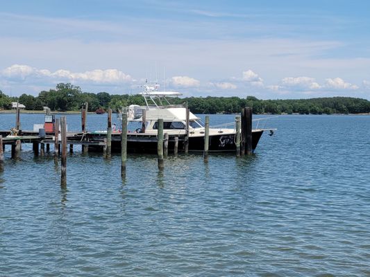 Tall Timbers Marina