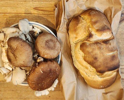 we bought a loaf of bread and a basket of assorted mushrooms