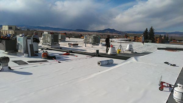 Bearded Brothers Roofing