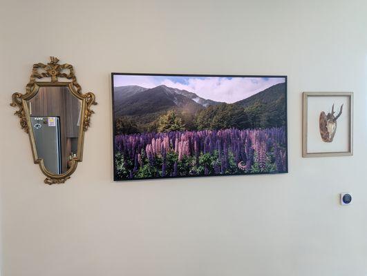 Samsung Frame TV with the OneConnect Box & power wire all hidden in-wall