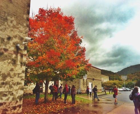 A gorgeous fall day