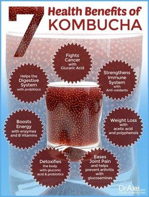 Tis the season for immune boosting powers!! #kombucha #primaldelightsllc