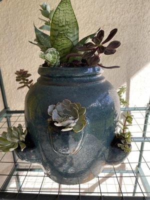 Succulents in your pottery!!! Great place to shop for pottery !!!