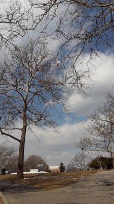 Grant Park. Hewlett