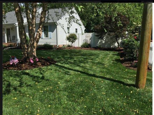 Seeding and Aerating in the fall creates well established lawns.