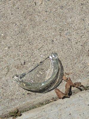 Broken glass at pool entrance