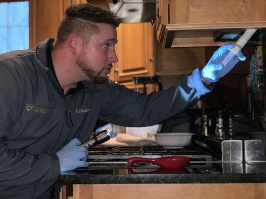 Baiting for ants in the kitchen on the backsplash ledge area