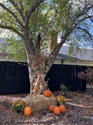 Fall in the courtyard!