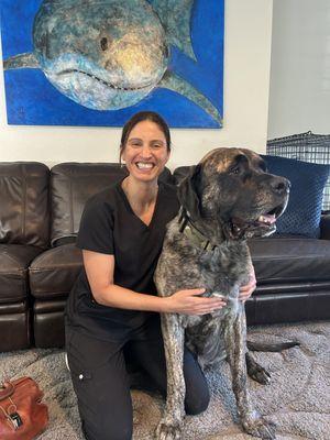 Pet Acupuncture & Wellness