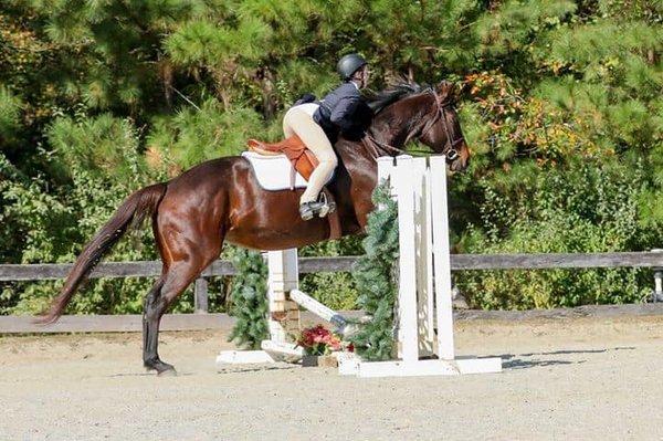 Coastal Equine Veterinary Service