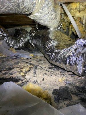 This is what animal damage can do to your duct work