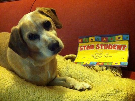 Jack is showing off his Pooch of the Month award!