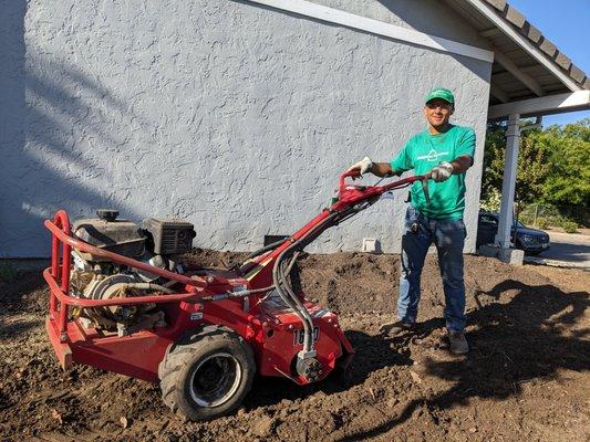 Breaking up the clumps preparing soil for planting after 5 or so years of being covered by weed barrier! Not always good for gardens!