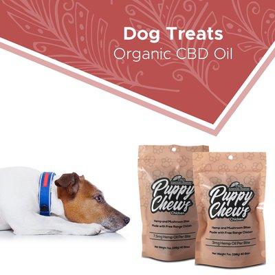 Support your pets stress and joints