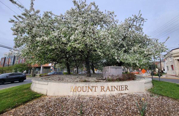 Mount Rainier City Hall