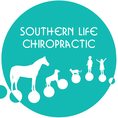 Our chiropractic adjustments are very specific and involve careful, highly skilled techniques to alleviate pain.