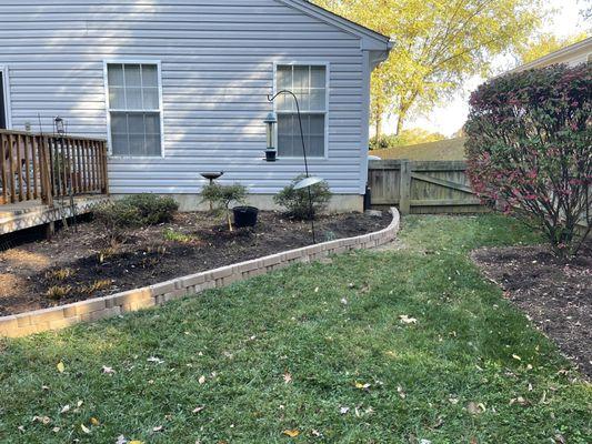 Landscape edging install along with shrub and Japanese maple