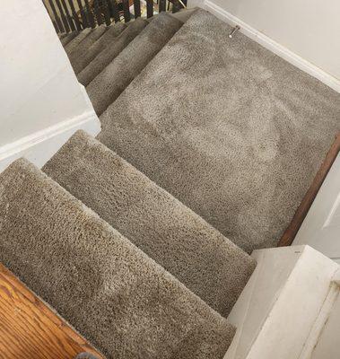 Breeze Carpet Cleaning