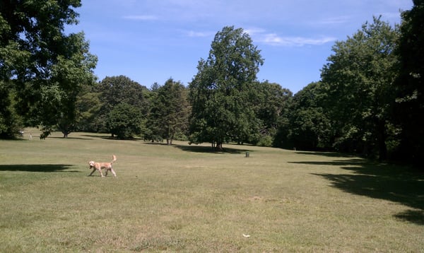 The west half of the park is a very large field