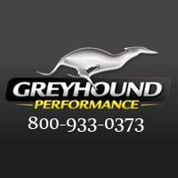 Greyhound Performance