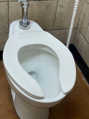 nasty toilet with poop on it