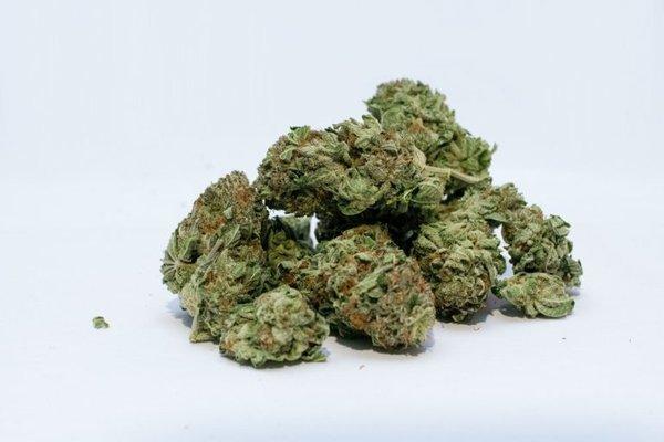 Bulk Hemp Bud - by weight