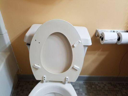 Bronco rider toilet seat