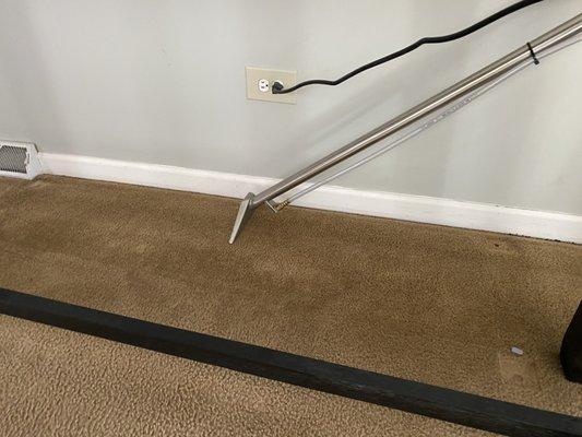 Carpet Cleaning