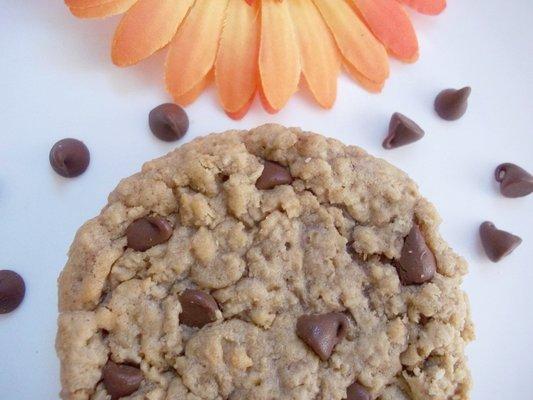 Awesome Oat Cookies Gourmet Cookie Gifts