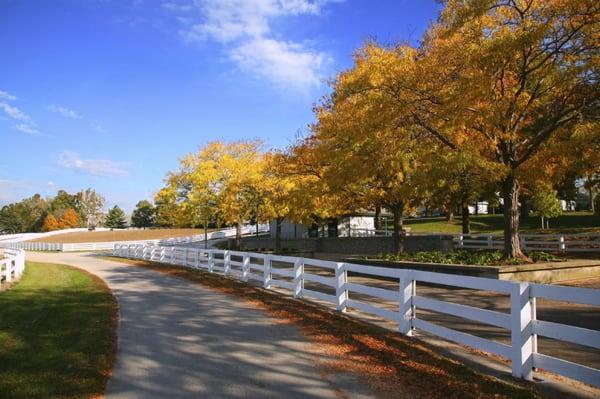 Texas Farms and Ranches