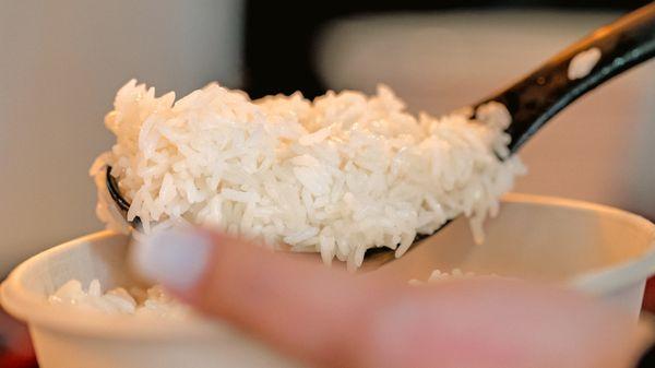 White Rice