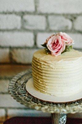 Cutting cake #givingtreephotography